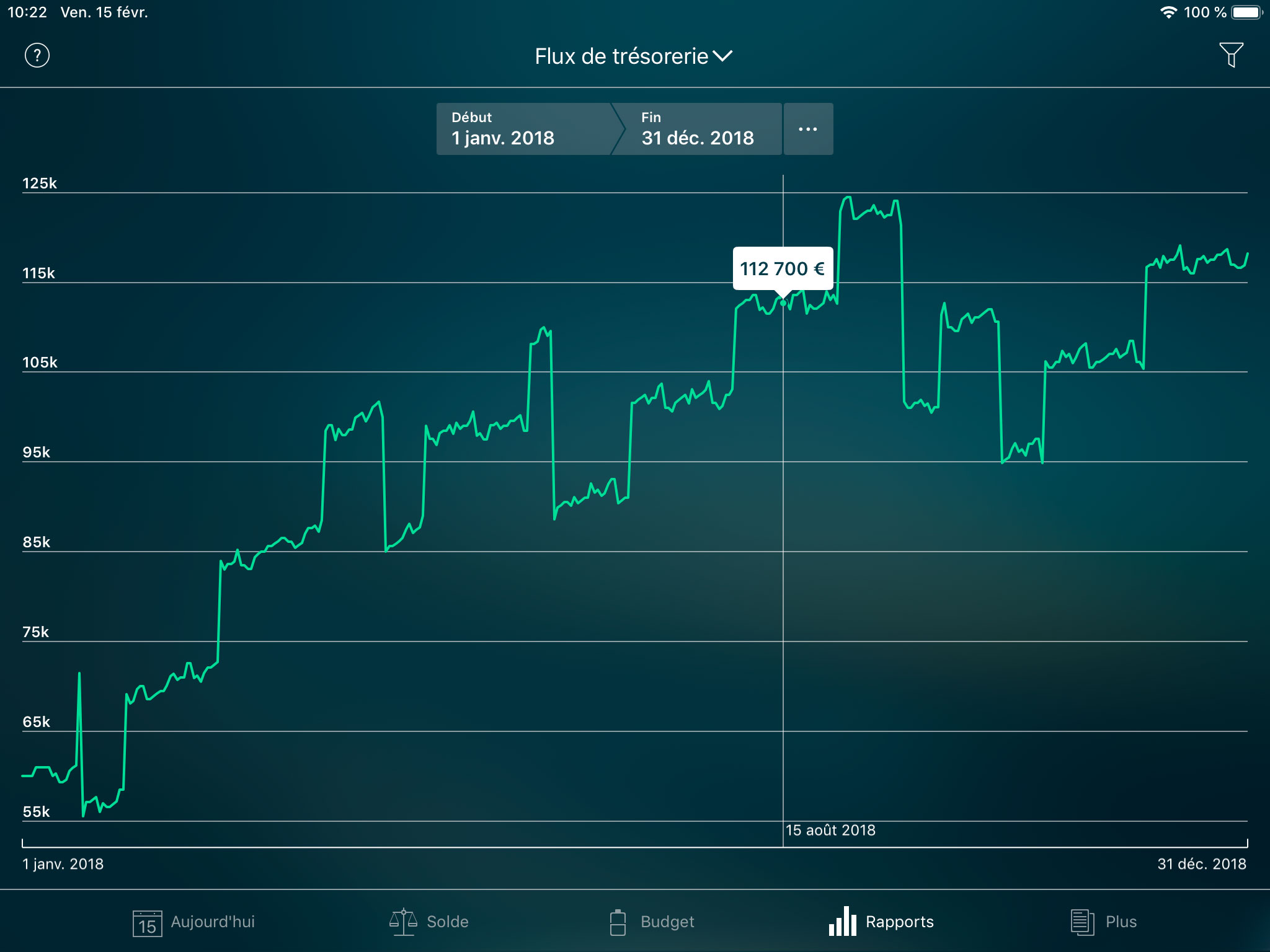 Money Tracker - Rapport de Flux de trésorerie - iPad