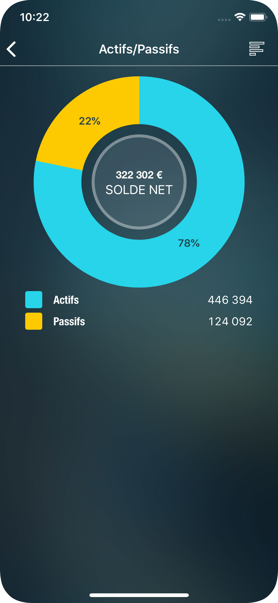 Money Tracker - Rapport Actifs/Passifs - iPhone